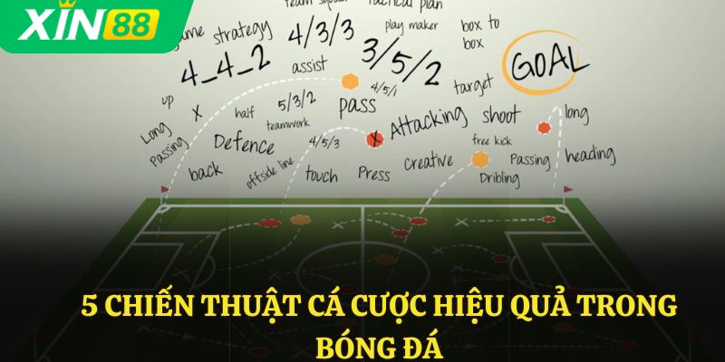 5 chiến thuật cá cược hiệu quả trong bóng đá