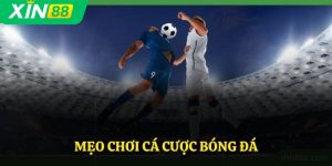 Mẹo Chơi Cá Cược Bóng Đá