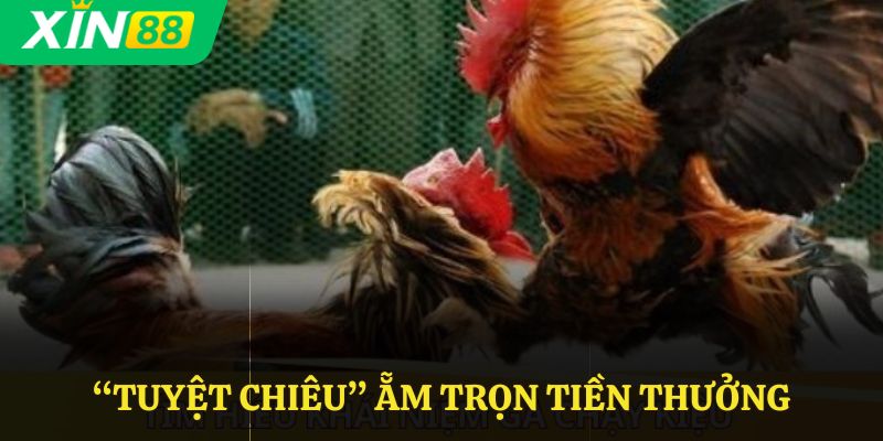 “Tuyệt chiêu” ẵm trọn tiền thưởng