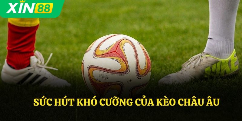 Sức hút khó cưỡng của kèo châu âu