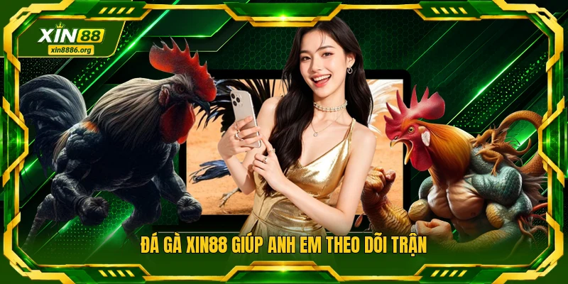 Đá gà XIN88 giúp anh em theo dõi trận