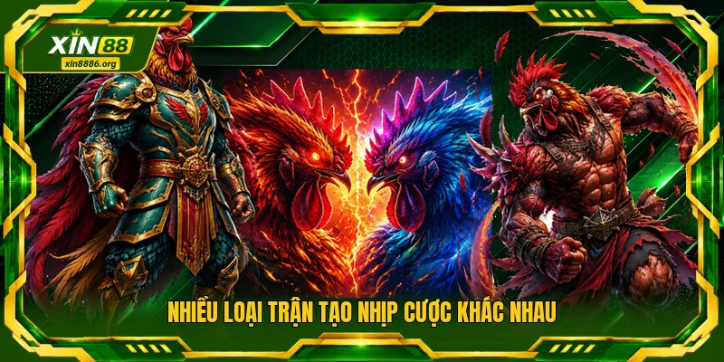 Nhiều loại trận tạo nhịp cược khác nhau